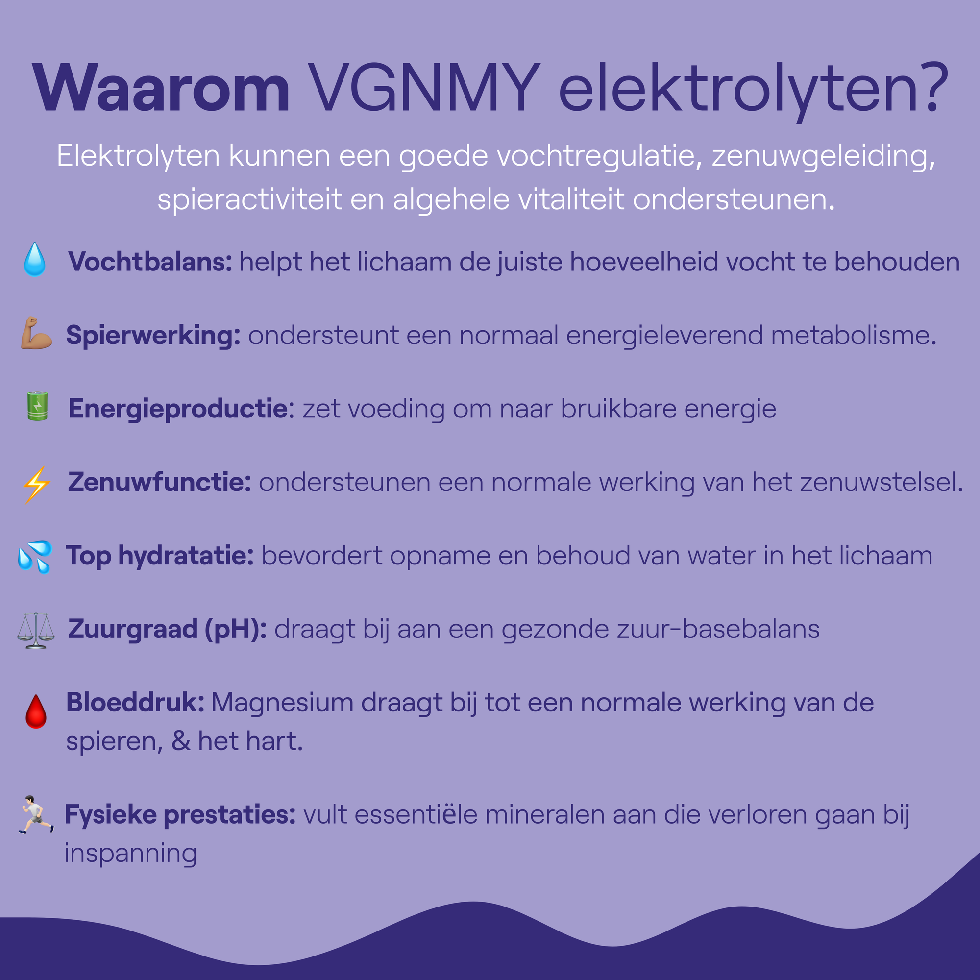 Electrolytes + Reishi | Magnesium Zink Vitamine B1 Mix