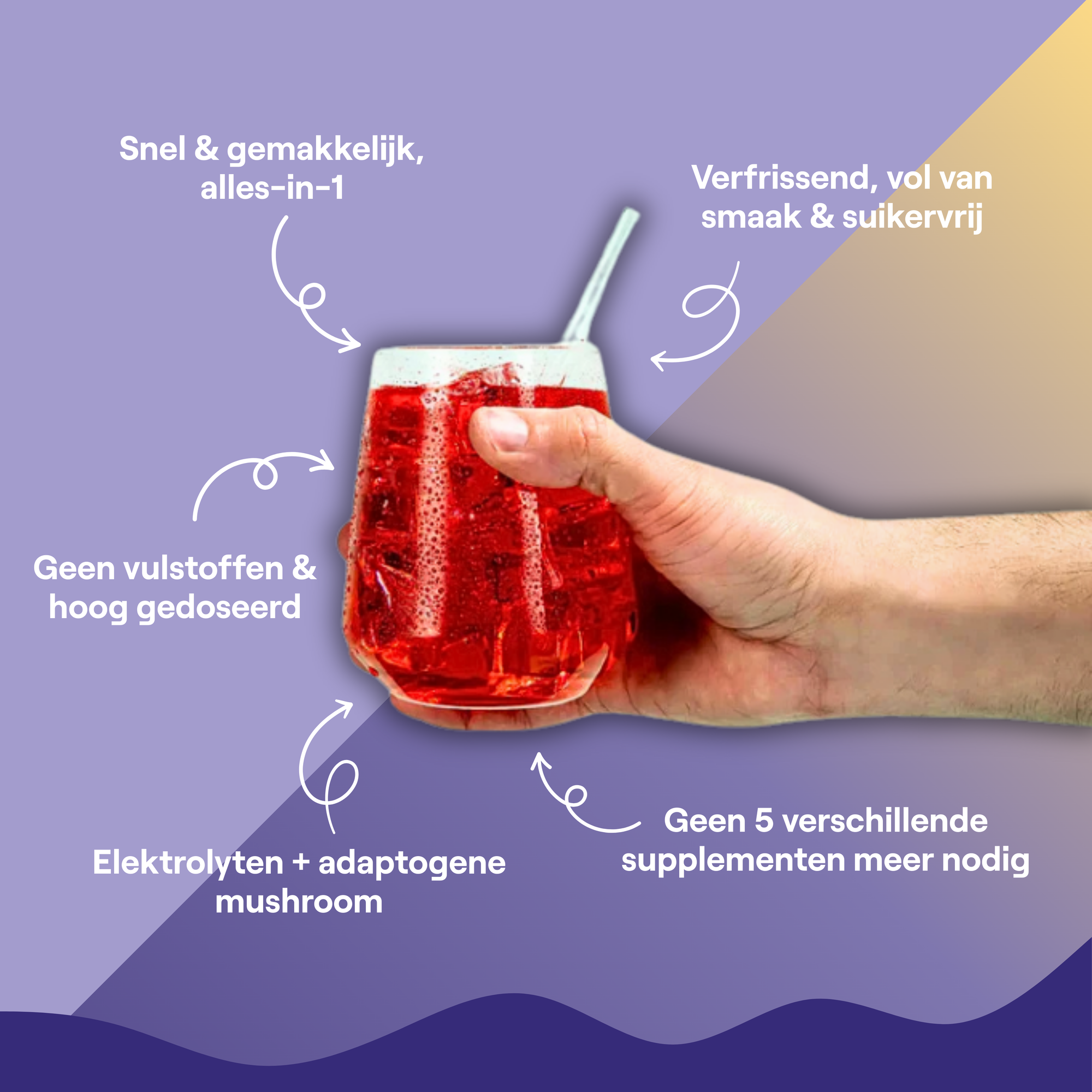 Electrolytes + Reishi | Magnesium Zink Vitamine B1 Mix