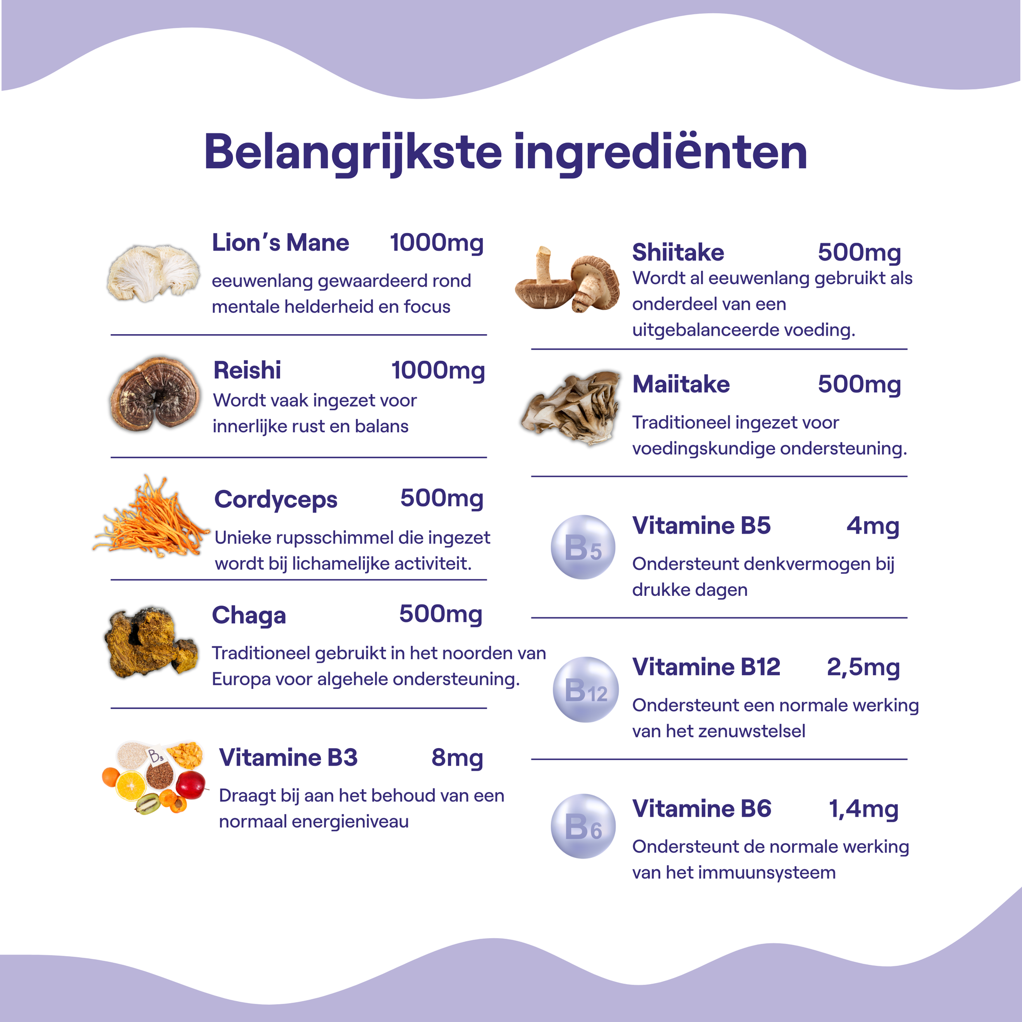 Kokoro mushroom Abonnement