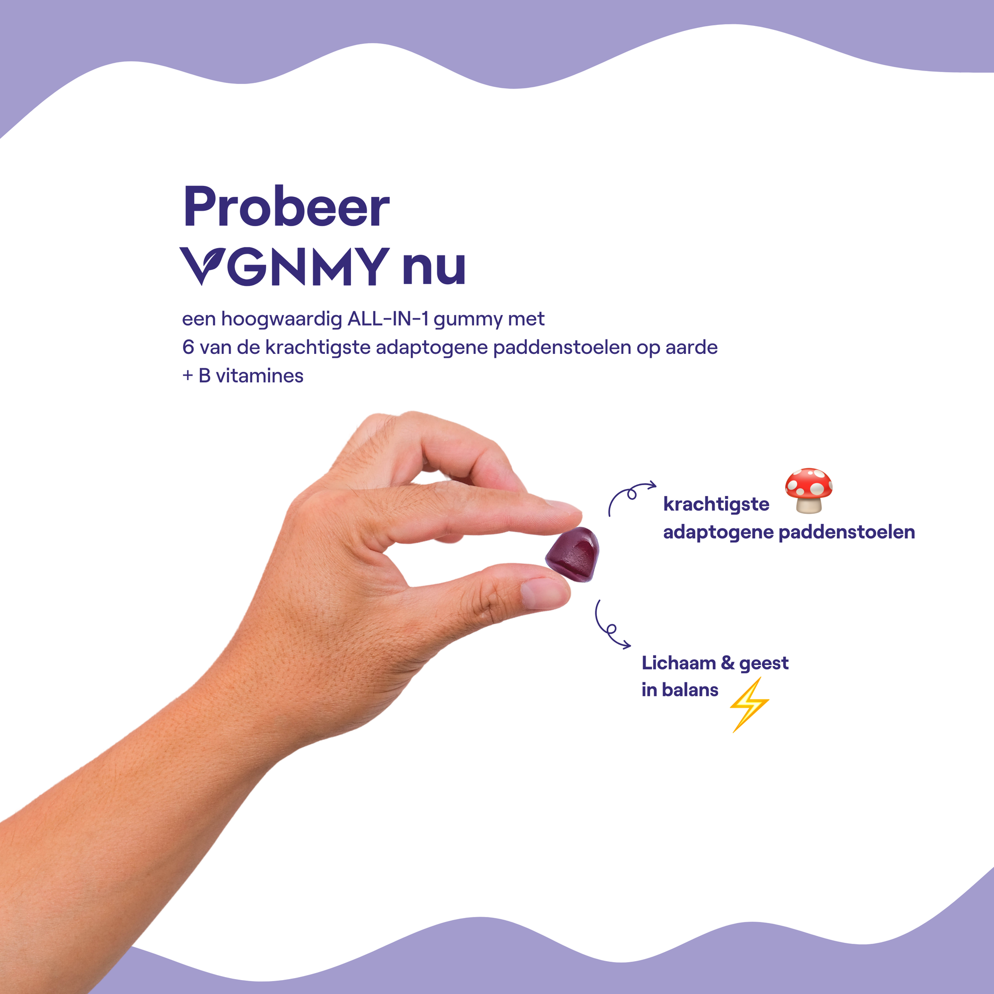 Kokoro mushroom Abonnement